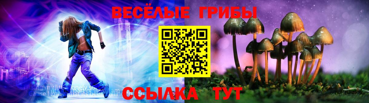Галлюциногенные грибы MAGIC MUSHROOMS Дербент